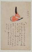 絵葉書16