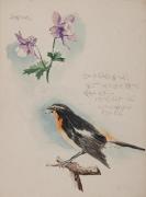 ［徳義中学時代デッサン帳より］　おだまき［・鳥］