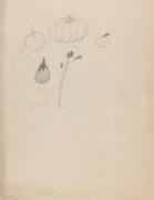 ［夢二展京都旅行デッサン帳より］7［野菜］