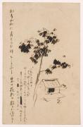 絵葉書40