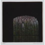 版画集『Ｈamaguchi's six original color mezzotints』 6 アスパラガス