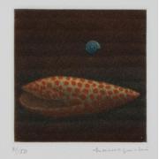 版画集『Yozo Hamaguchi』 5 貝