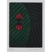 2匹のてんとう虫