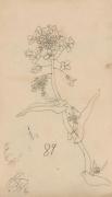 『未知草カード』第四より「八十九、菜の花」