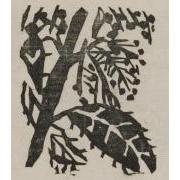 雑誌『白と黒』（第３次）第1年第5号1「栗花」