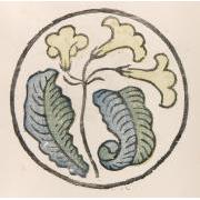 図案私集『伊羅保』 6 ストレップトカアバス