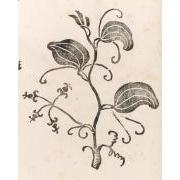 図案私集『伊羅保』28三歸来