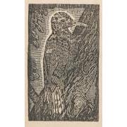 『風』再刊1 所収版画 11点 4 きつつき