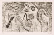 版画集『瑛九・銅版画 SCALE III』 37 湖の花