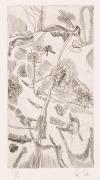 版画集『瑛九・銅版画 SCALE V』 46 花畑