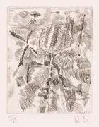 版画集『瑛九・銅版画 SCALE V』 60 雲の花