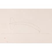 ベティ・ブープの国1薄桃色の着陸