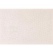 ベティ・ブープの国19大停電ー画家ジム・ダイン（透明人間）