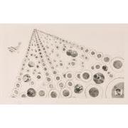 ベティ・ブープの国22グレート・ストーン・フェイス