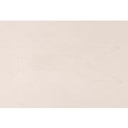 ベティ・ブープの国23ソバカスノヒト（A）