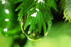 内山りゅう《白浜（和歌山県） 水の森》2007（平成19）カラー写真　61.4×91.4cm　個人蔵