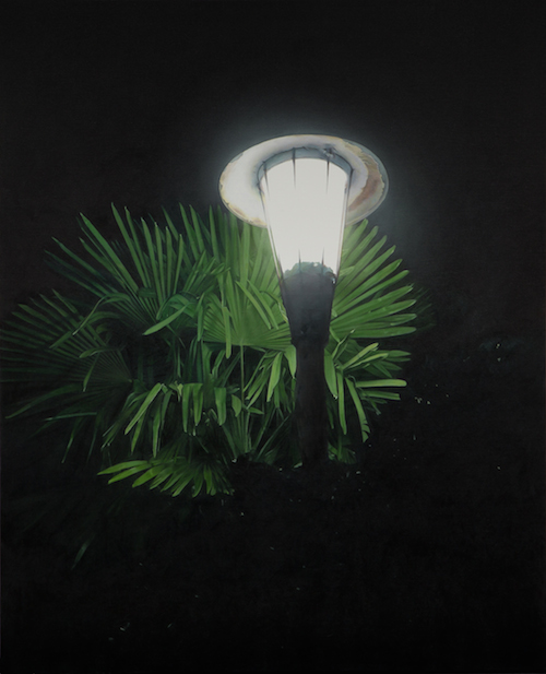 小柳 裕《The Light with the Palm Leaves (Source of Light 14-3)》2014