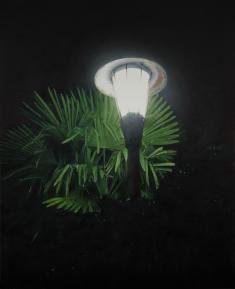 小柳裕《The Light with the Palm Leaves (Source of Light 14-3)》2014年