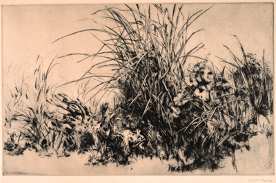 高羽敏《草》1943 公益財団法人 西宮市大谷記念美術館蔵 【後期展示】