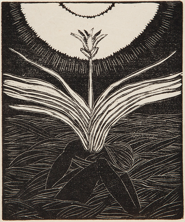 田中恭吉《冬虫夏草》1914 年　木版、紙　当館蔵