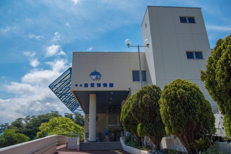 和歌山県立自然博物館