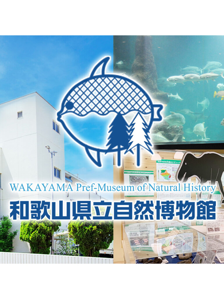 和歌山県立自然博物館