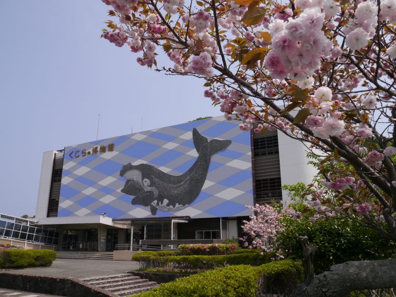 太地町立くじらの博物館