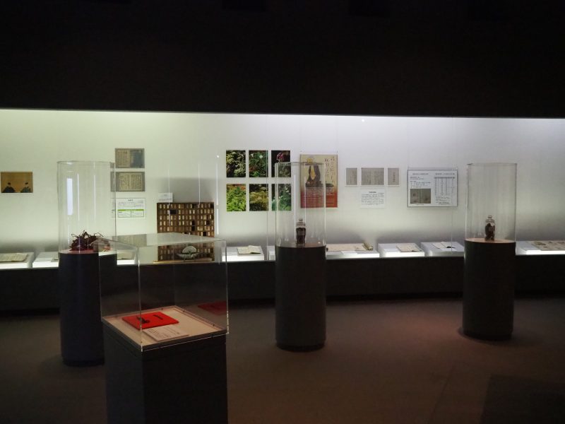 華岡青洲資料展示室