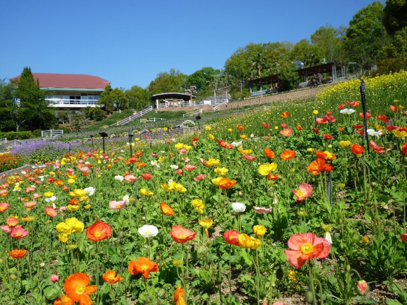 和歌山県植物公園緑花センター