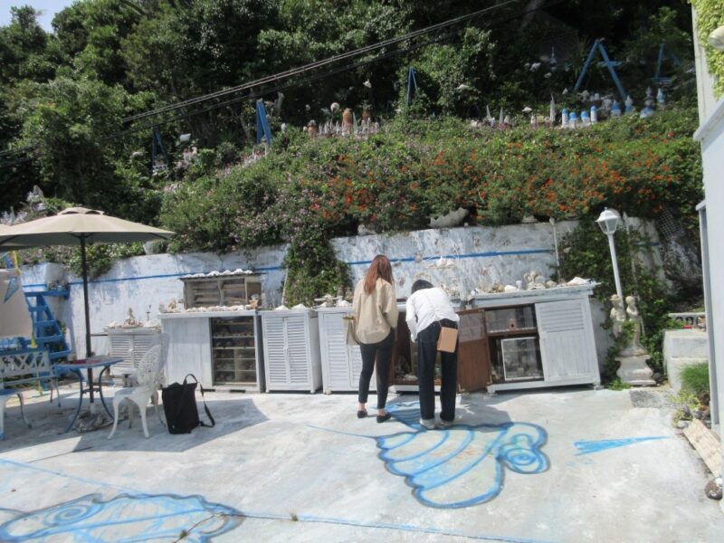 やびつ貝類館ワンピース