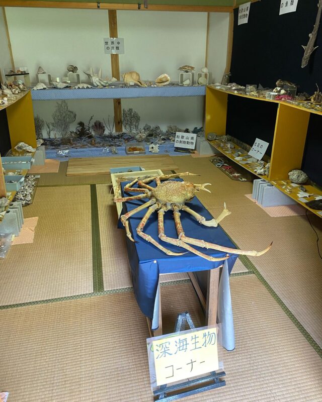 山の中の海の博物館