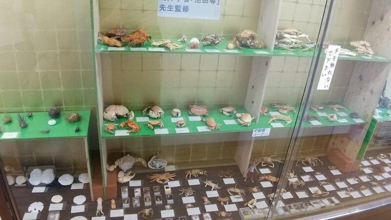 湯浅城海洋生物博物館
