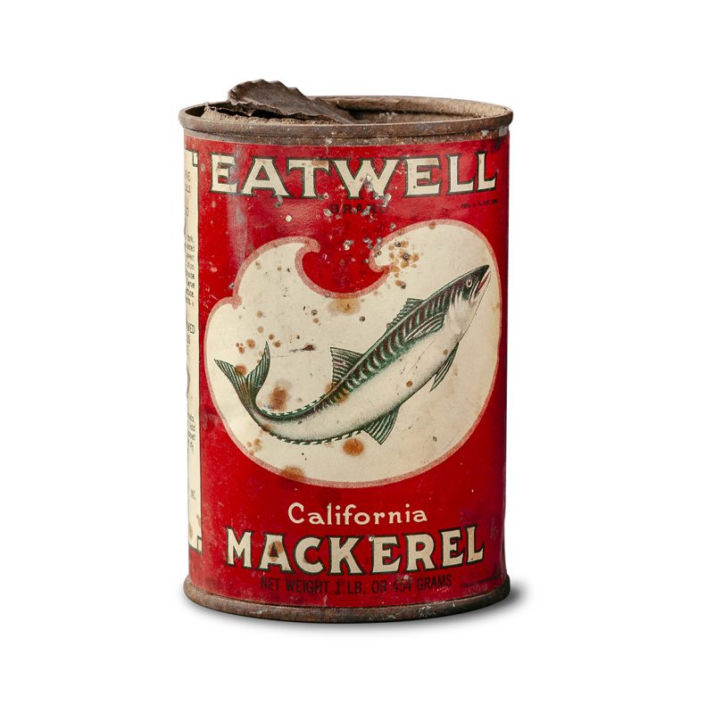 mackerel